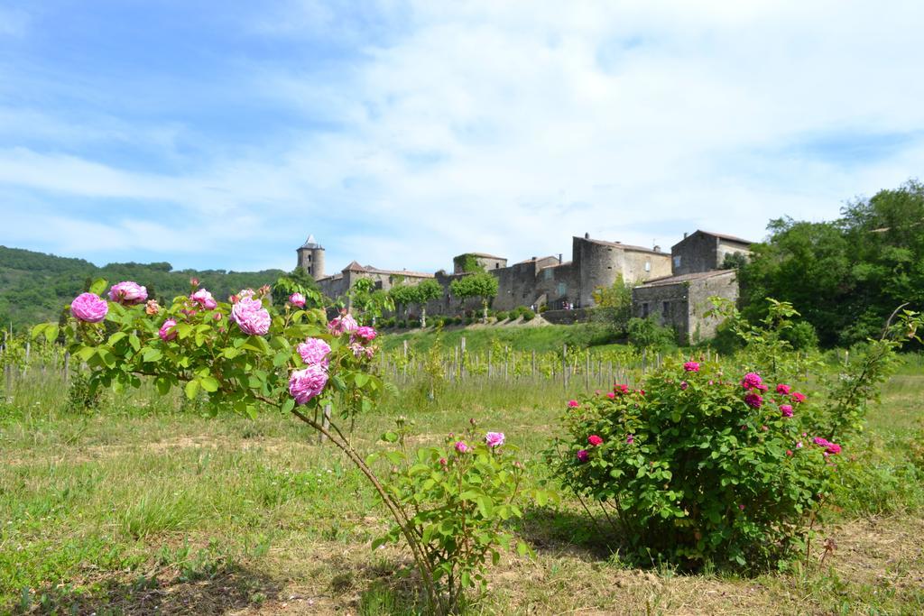 Chambres D'Hotes Domaine Du Hameau Baylesse Saint-Jean-d'Aigues-Vives Εξωτερικό φωτογραφία