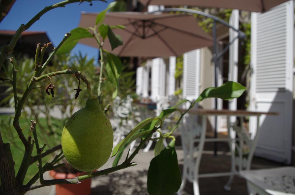 Chambres D'Hotes Domaine Du Hameau Baylesse Saint-Jean-d'Aigues-Vives Εξωτερικό φωτογραφία