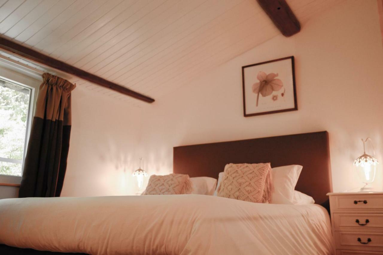 Chambres D'Hotes Domaine Du Hameau Baylesse Saint-Jean-d'Aigues-Vives Εξωτερικό φωτογραφία
